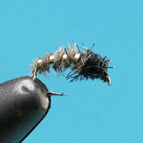 Caddis