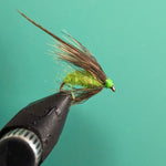 Chartreuse pupa fly with brown hackle and green body on fishing hook