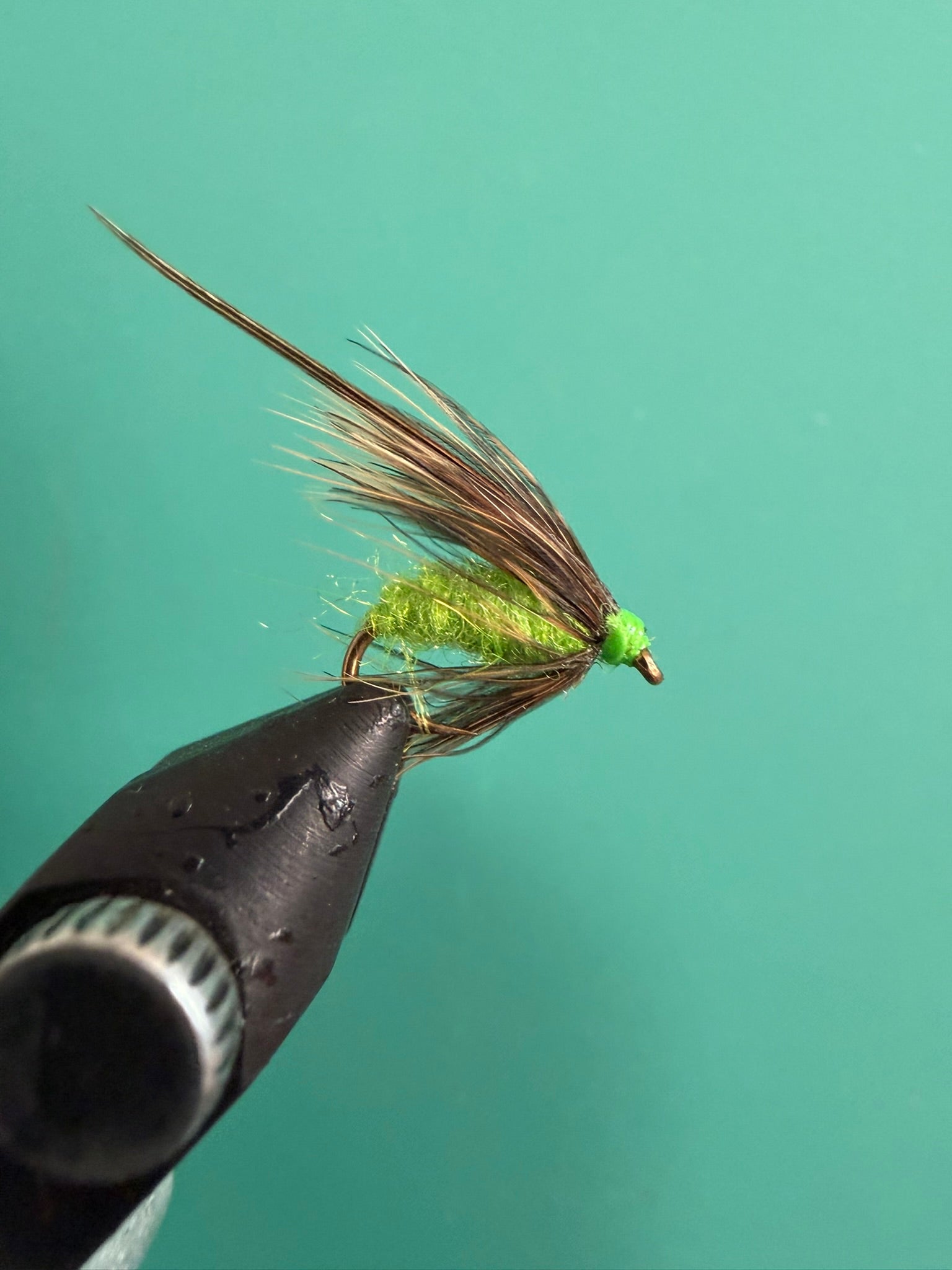 Chartreuse pupa fly with brown hackle and green body on fishing hook