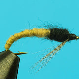 Caddis Larva