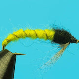 Caddis Larva