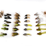 Caddis Life Cycle--36 Flies #14
