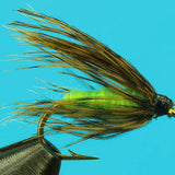 Caddis Pupa