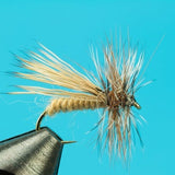 Caddis Variant - Dry Fly