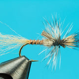 Callibaetis Cripple