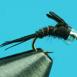 Camden Baetis - Glass Bead