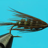 Carey Special