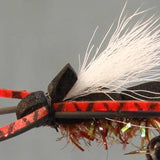 Black Foam Cicada