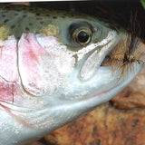 Clouser's Drake (Brown or Green)