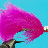 Coho Comet