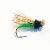 Collared Caddis - Dry Fly