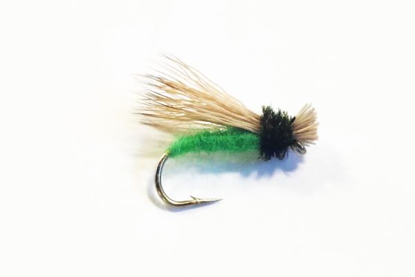 Collared Caddis - Dry Fly