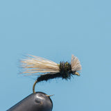Collared Caddis - Dry Fly
