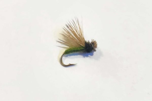 Collared Caddis - Dry Fly