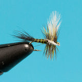 Colorado Green Drake  - Mayfly Dry Fly