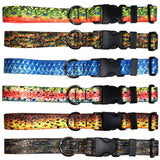 Brook Trout2 Dog Collar