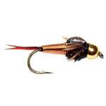Copper nymph fly with gold bead head, red tail, dark feather body, curved barbed hook