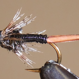 BH Copper John - 7 Colors