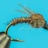 Cove's Pheasant Tail