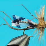 Cranefly