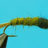 Cranefly Larva