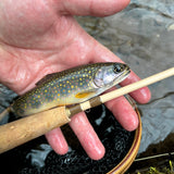 WLR Rod