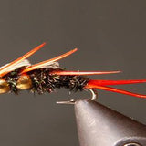 Double Bead - Stonefly Nymphs
