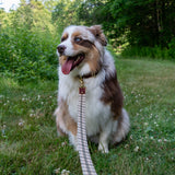 The Whiskey Tartan Dog Leashes