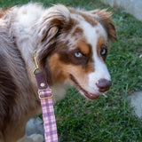 The Whiskey Tartan Dog Leashes