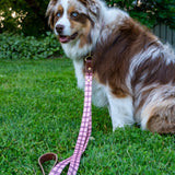 The Whiskey Tartan Dog Leashes