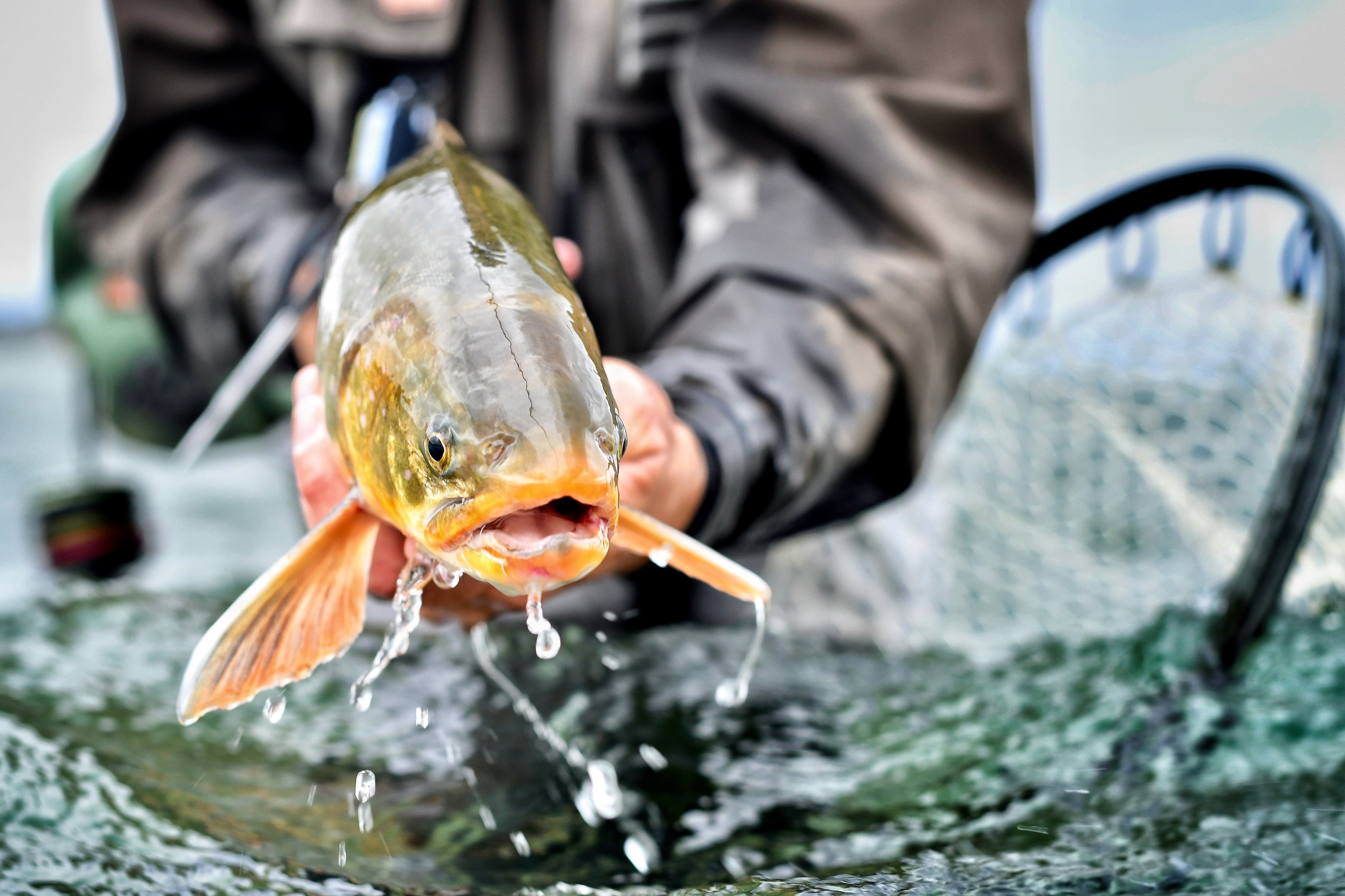Tight Lines & Wet Nets