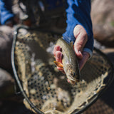 Men's River Run Hoodie