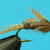 Dark Quill Sulphur