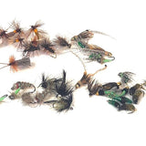 Deschutes Caddis Assortment--36 Flies #10