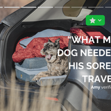 HEST Dog Bed