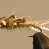 Double Bead - Stonefly Nymphs
