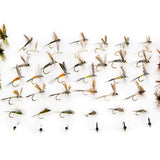 Eastern Dry Fly Assortment--48 Flies #24