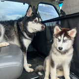 Econoline Van Mesh Dog Barrier