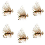 Olive Elk Hair Caddis Classic Trout Dry Fly - Set of 6 Flies Size 12