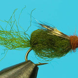 Emergent Sparkle Pupa