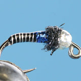 Euro Copper Zebra-Tungsten (Barbless)