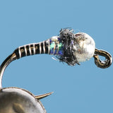 Euro Copper Zebra-Tungsten (Barbless)