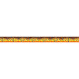 Brown Trout2 Dog Leash
