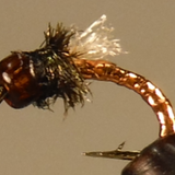 Garish Flash Midges