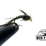 Flashback Pheasant Tail Curved Hook-Beadhead