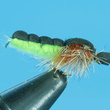 Floating Caddis Pupa