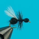 Flying Ant