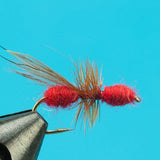 Flying Ant