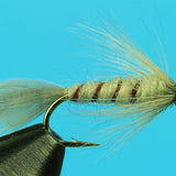 Flymph PMD