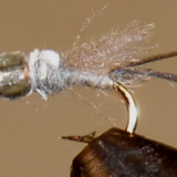 Foam Top Midge